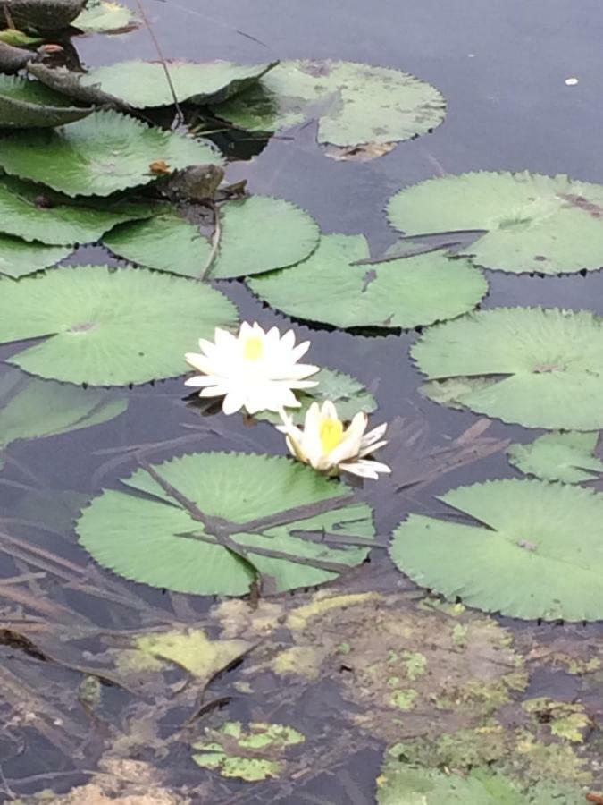 Lake Apartment Heviz Luaran gambar